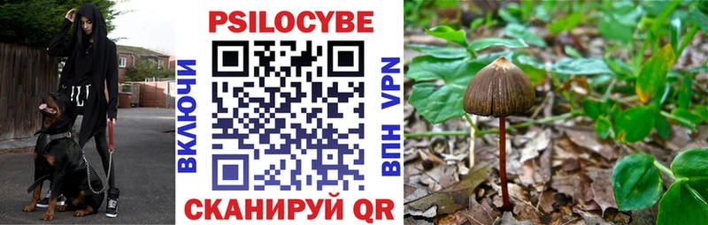 Галлюциногенные грибы Psilocybine cubensis Опочка